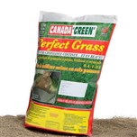 Perfect Grass