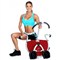 Ab Circle Mini - Le phénomène Fitness