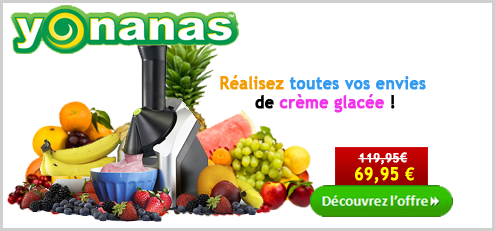 Yonanas - Sorbetière 