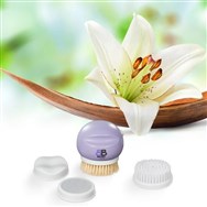 BB Brush By Lily&Rose